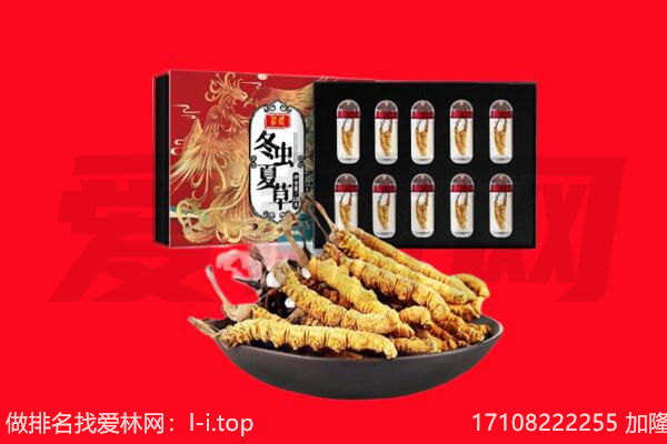 泸州龙马潭区回收虫草.jpg